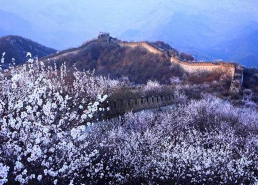 Mutianyu Great Wall tour enjoy spring scenery