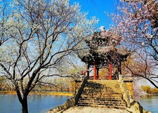 Spring scenery of the Summer Palace