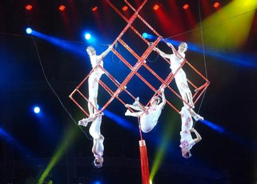 acrobatic tour