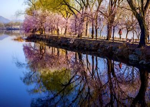 Summer Palace private tour