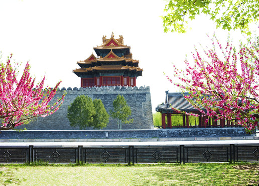 Forbidden City tourist car service